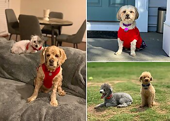 Durham Dog Walkers Best in Show Pet Sitting