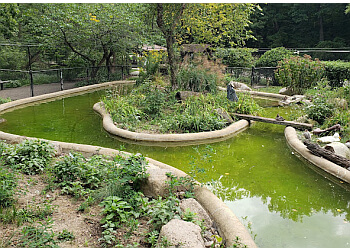 Cedar Rapids Public Parks Bever Park