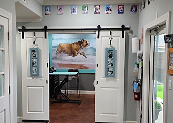 Beverly's Touch of Class Grooming - Pearland, TX Pet Grooming - Service Highlights