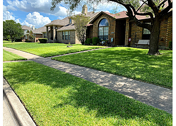 Mesquite Lawn Care Services Beyond Lawn Care & Landscaping