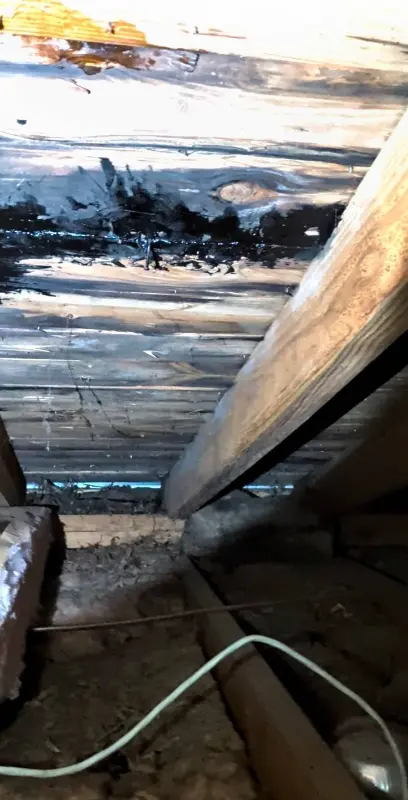 Big Anchor Roofing & Gutters review image 1