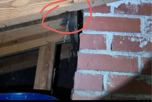 Big Anchor Roofing & Gutters review image 3
