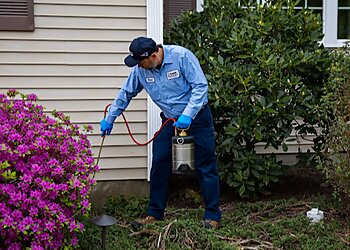 Providence Pest Control Companies Big Blue Bug Solutions