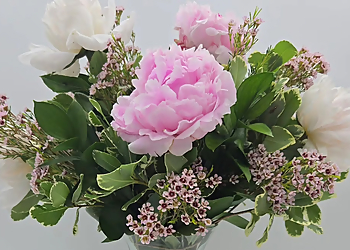 Big Bud's Florist - McKinney, TX Florists - Fresh Flowers Image