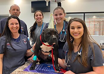 Abilene Veterinary Clinics Big Country Veterinary Clinic