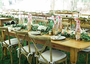 New York Event Rental Companies Big Dawg Party Rentals