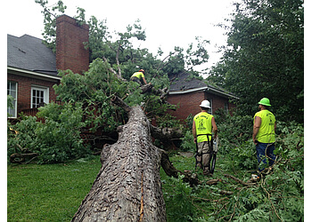 Big John's Tree Service, LLC - Jackson, MS Tree Services - Team Working Image