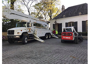 Big John's Tree Service, LLC - Jackson, MS Tree Services - Service Image