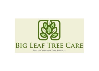 Big Leaf Tree Care - Rancho Cucamonga, CA Tree Services - Company Logo
