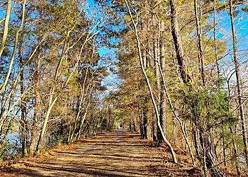 Big Loop Trail - Greensboro, NC Hiking Trails - Trail Image