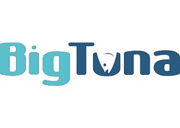 Big Tuna Web, LLC Gilbert Web Designers
