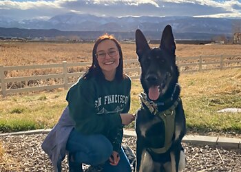 Reno Dog Walkers Biggest Little Pet Sitter