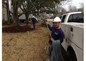 tree cutting bloopers, Lewisville TX