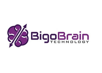 Washington web designer BigoBrain Technology LLC
