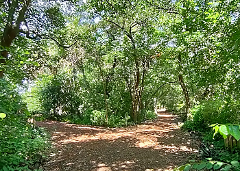 Bill Keith Preserve Park - Fort Lauderdale, FL Hiking Trails - Trail Image