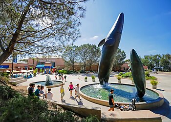 San Diego Places To See Birch Aquarium
