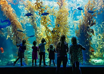 San Diego Places To See Birch Aquarium