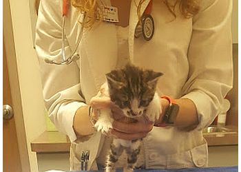 Roseville Veterinary Clinics Bird & Pet Clinic of Roseville