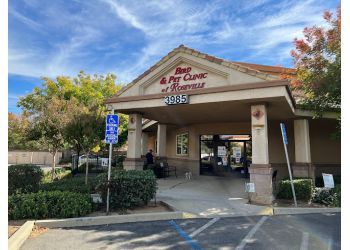 3 Best Veterinary Clinics in Roseville, CA - ThreeBestRated
