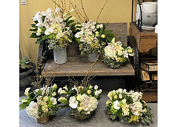 Irvine Florists Bird of Paradise