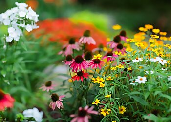 Birmingham Places To See Birmingham Botanical Gardens