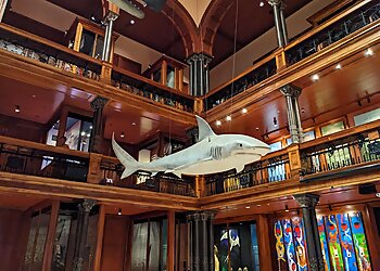 Honolulu Places To See Bishop Museum