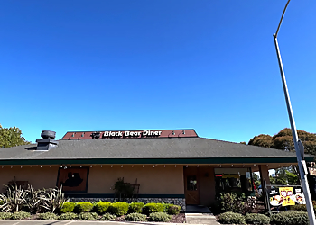 Hayward American Restaurants Black Bear Diner Hayward