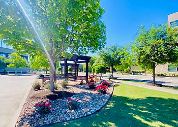 Mesquite Landscaping Companies Black Diamond Grounds