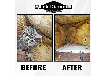 Evansville Animal Removal Black Diamond Pest Control