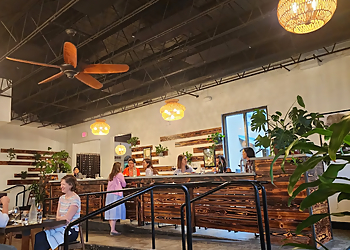 Tallahassee Vegetarian Restaurants Black Radish Bar and Restaurant