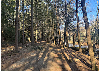 Waterbury Hiking Trails Black Rock State Park