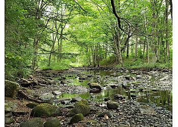 Waterbury Hiking Trails Black Rock State Park