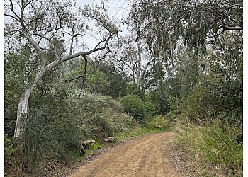 Santa Ana Hiking Trails Black Star Canyon Trail