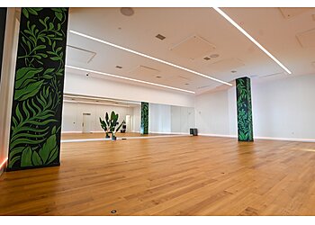 Houston Yoga Studios Black Swan Yoga