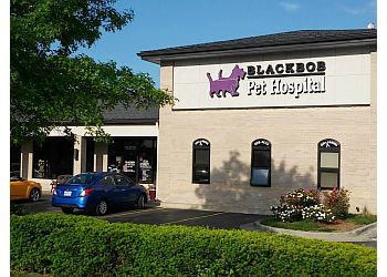 Blackbob Pet Hospital Olathe Veterinary Clinics