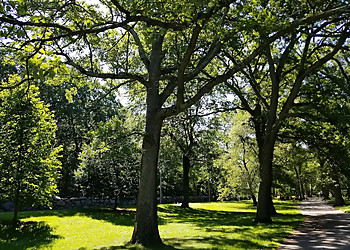 Blackstone Park - Providence, RI Hiking Trails - Trail Image