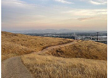 San Bernardino Hiking Trails Blair Park