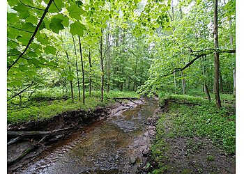 Grand Rapids Hiking Trails Blandford Nature Center