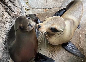 Des Moines Places To See Blank Park Zoo