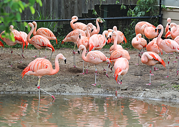 Des Moines Places To See Blank Park Zoo