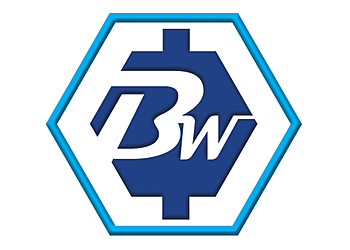 Bless Marketing Group Inc Garland Garland Web Designers image 1