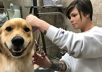 Fayetteville Pet Grooming Blessed Oasis Pet Resort