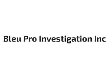 Bleu Pro Investigation Inc Detroit Private Investigation Service