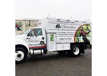Blooma Tree Experts Inc. Seattle Tree Services