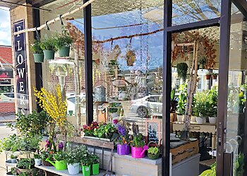 Providence Florists Blooming Blossoms