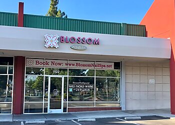 San Jose Nail Salons Blossom Nail Spa