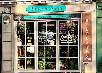 New Haven Florists Blossom Shop