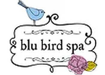 Blu Bird Spa Overland Park Spas