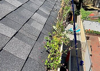 New York Gutter Cleaners BluLadder