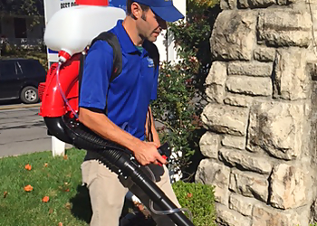 Kansas City Pest Control Companies Blue Beetle Pest Control